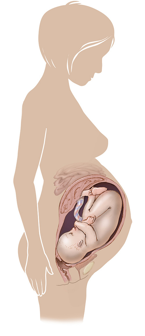 Imagen de 39 semanas de edad las mujeres embarazadas