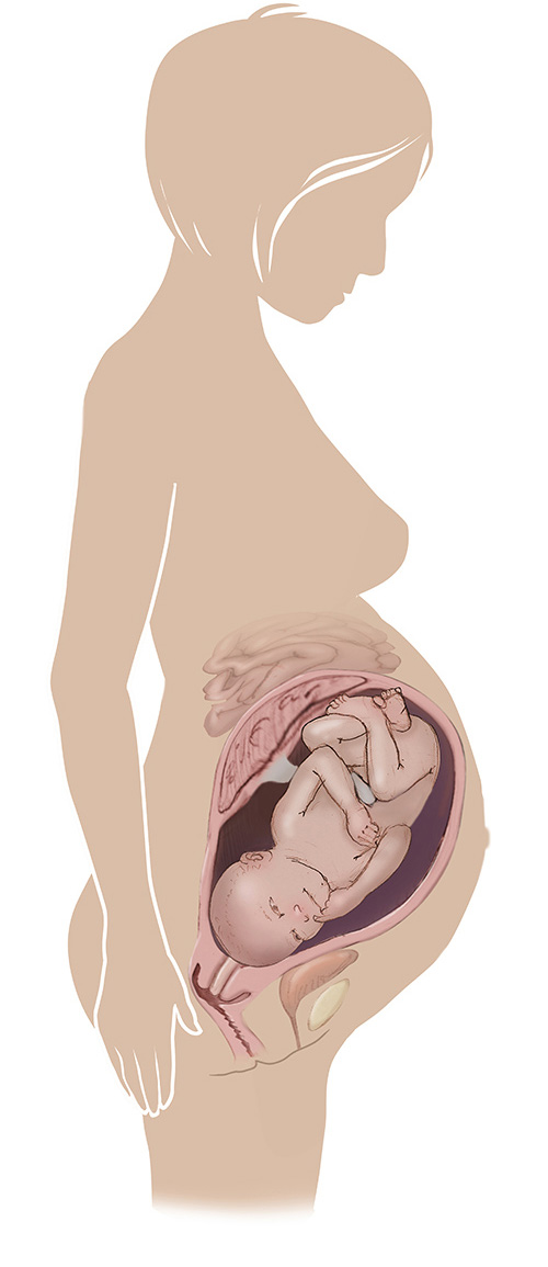 Imagen de 38 semanas de edad las mujeres embarazadas